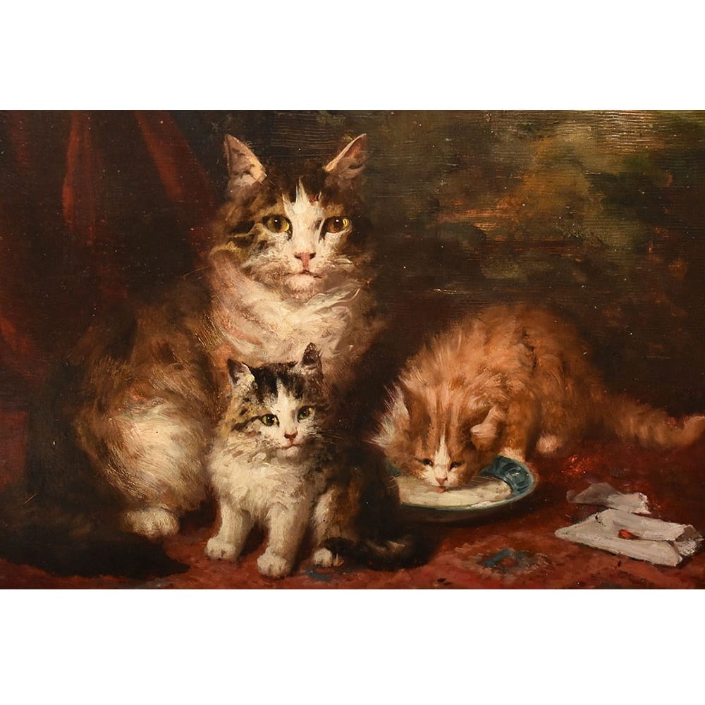 QA770 3a antique oil painting cats portraits painting XIX